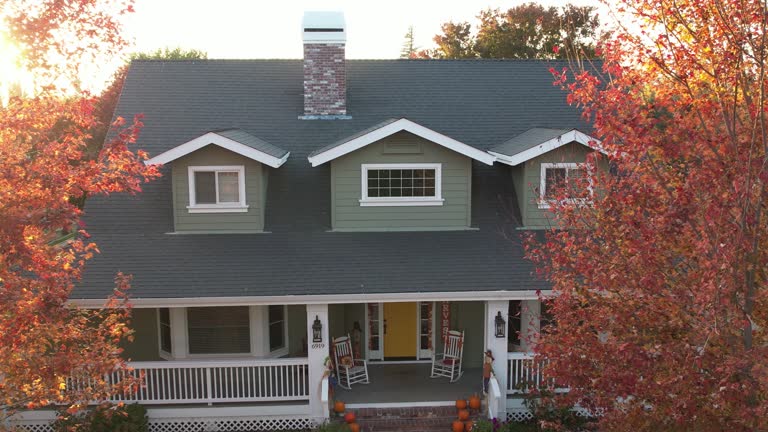 Roof Moss and Algae Removal in Woodmere, LA